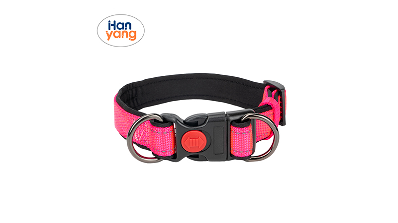 Dog Collar