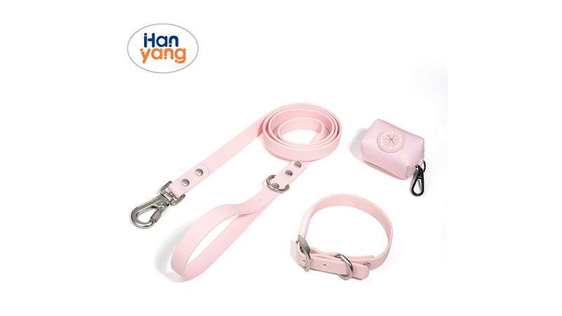 Dog collar & Leash Set