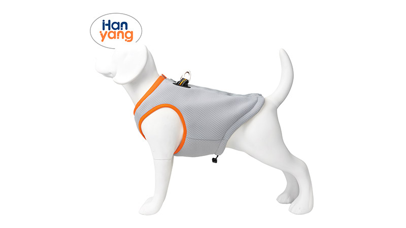 Dog Clothes