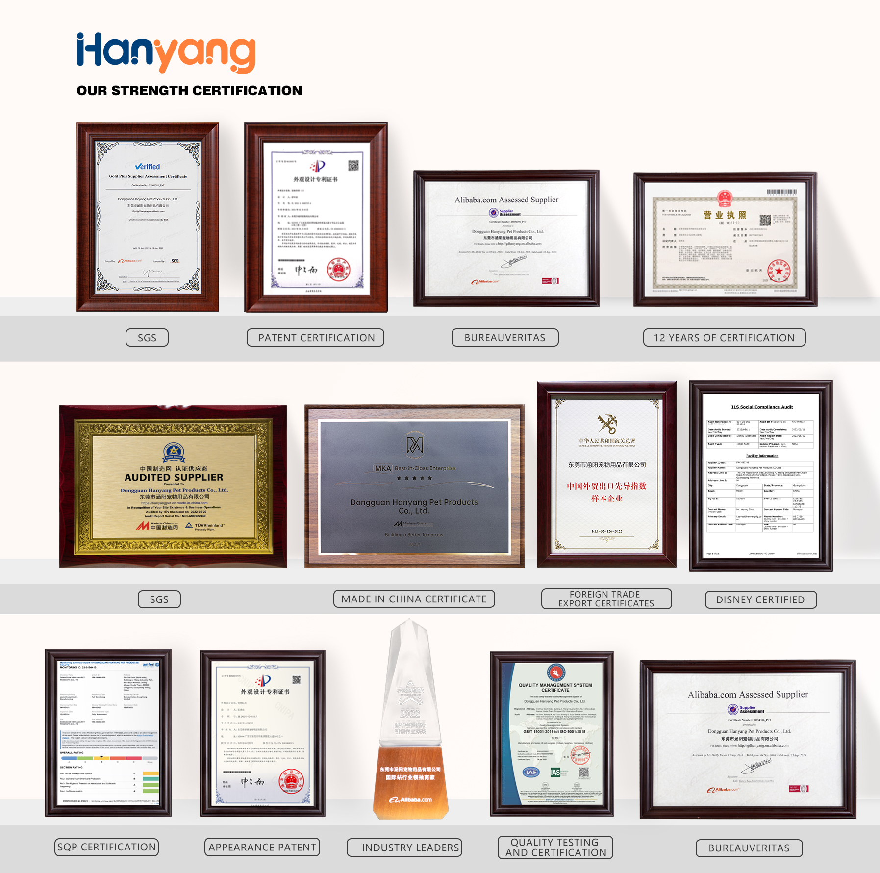 （5）Our certificate