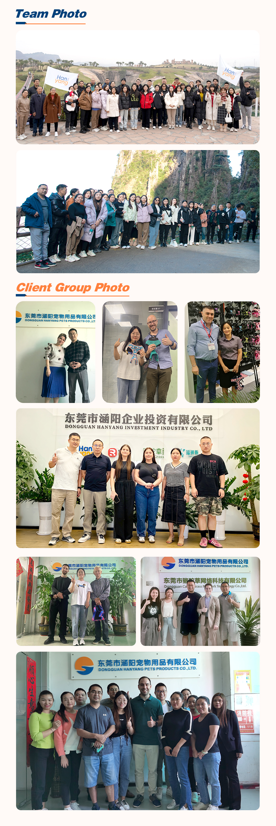 （4）our team