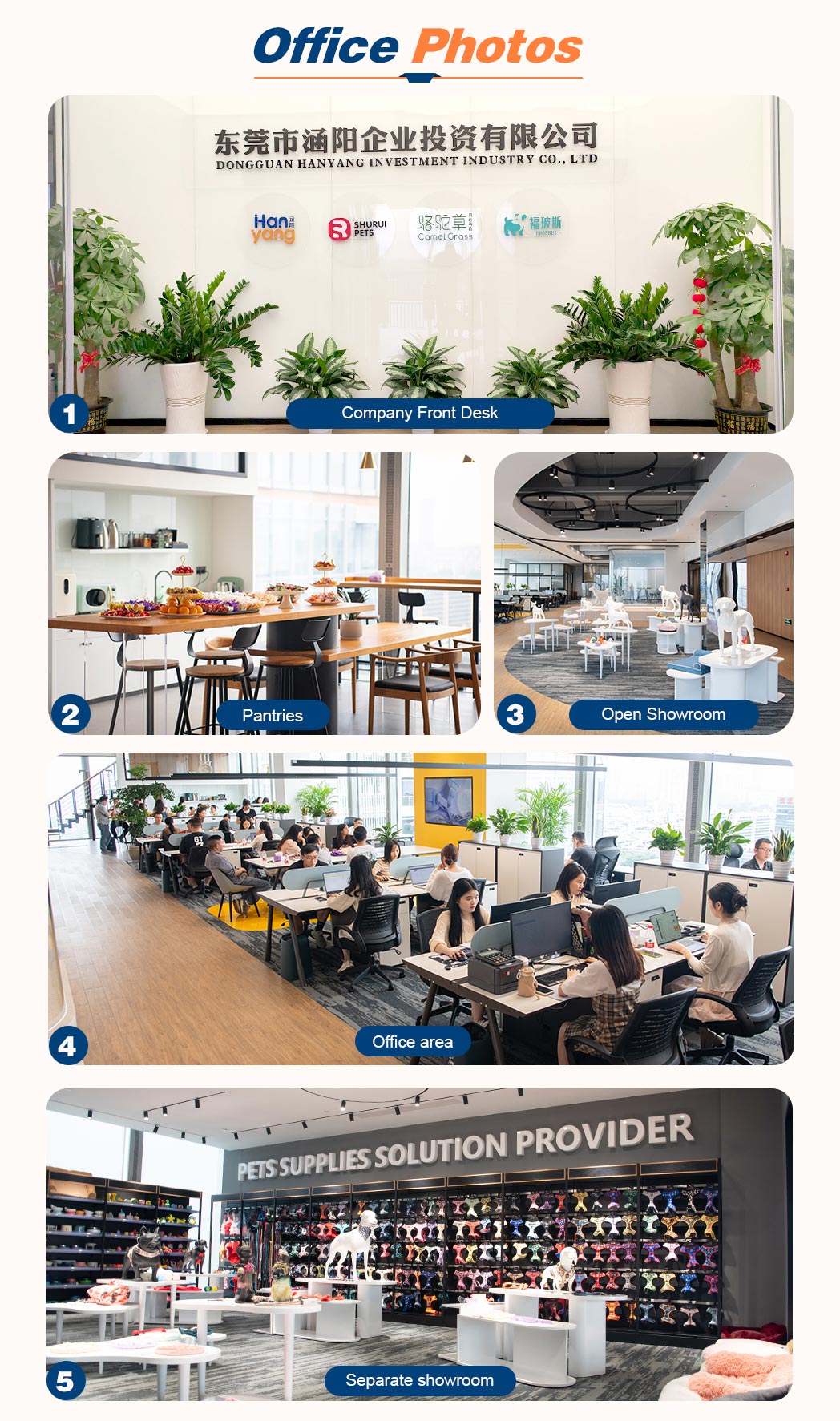 About HanYang About HanYang